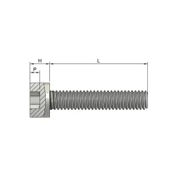 DIN 912 M2.5x20mm (12.9) – Sisekuuskantpolt | POLT24