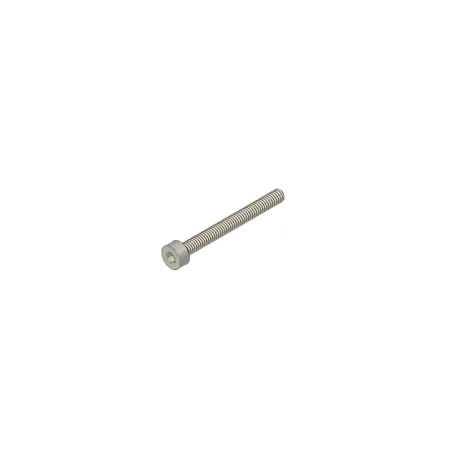 DIN 912 M2x20mm A2-70 Stainless Steel Screw | POLT24